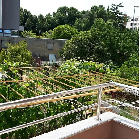 Apartment Relja