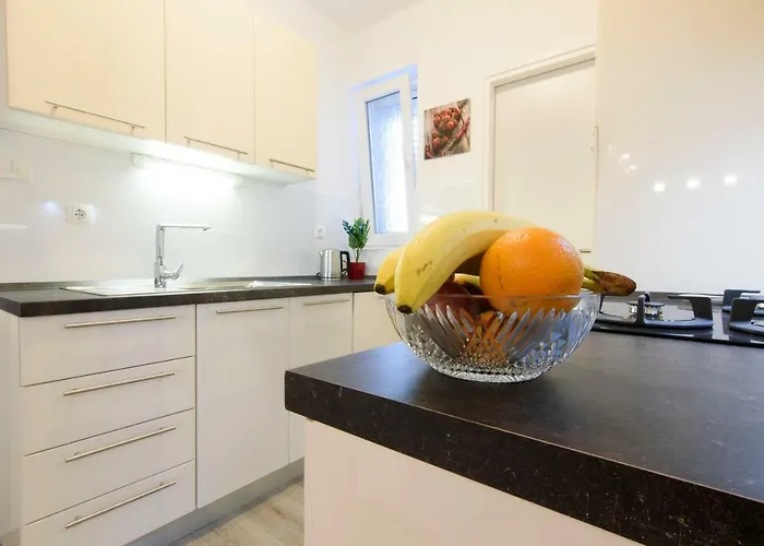 Relja * Ζαντάρ