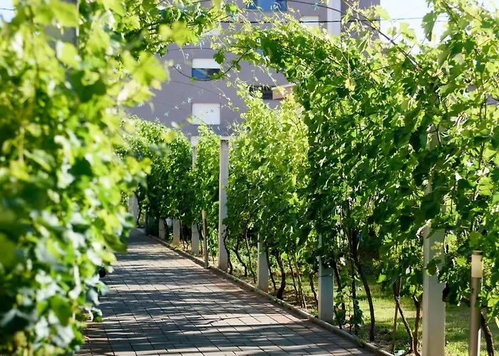 Relja * Ζαντάρ